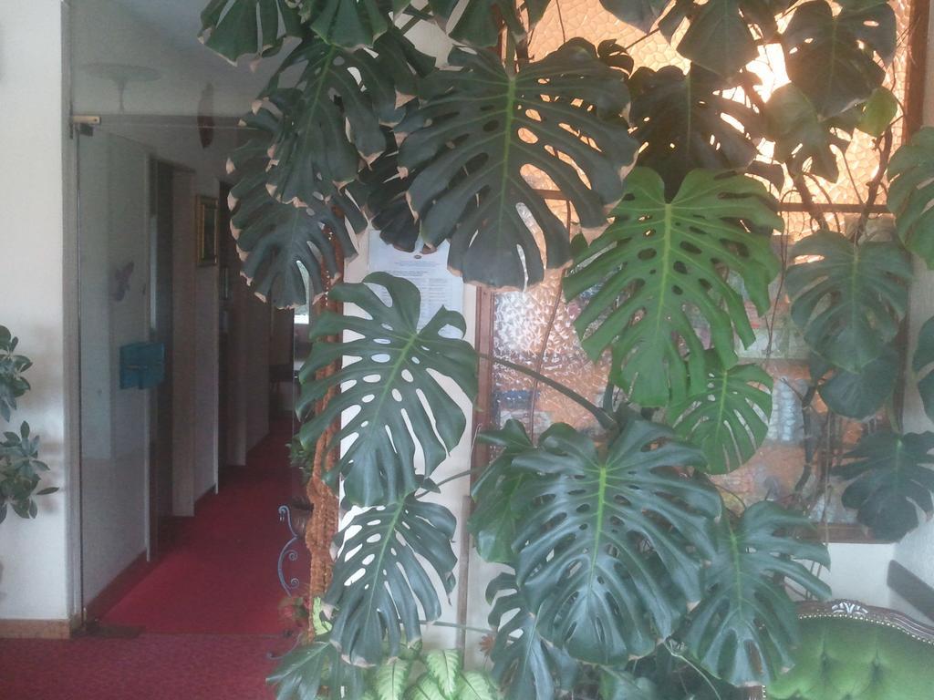 Hotel Lux Мерано Екстериор снимка